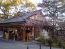 20060302165800.JPG