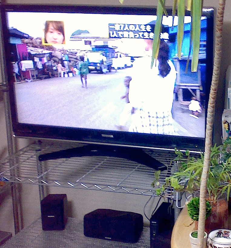 我が家に地デジテレビがやってきた