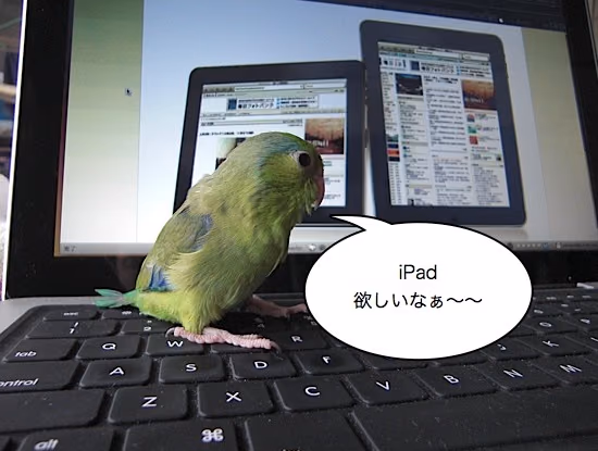 我が家のツイッター