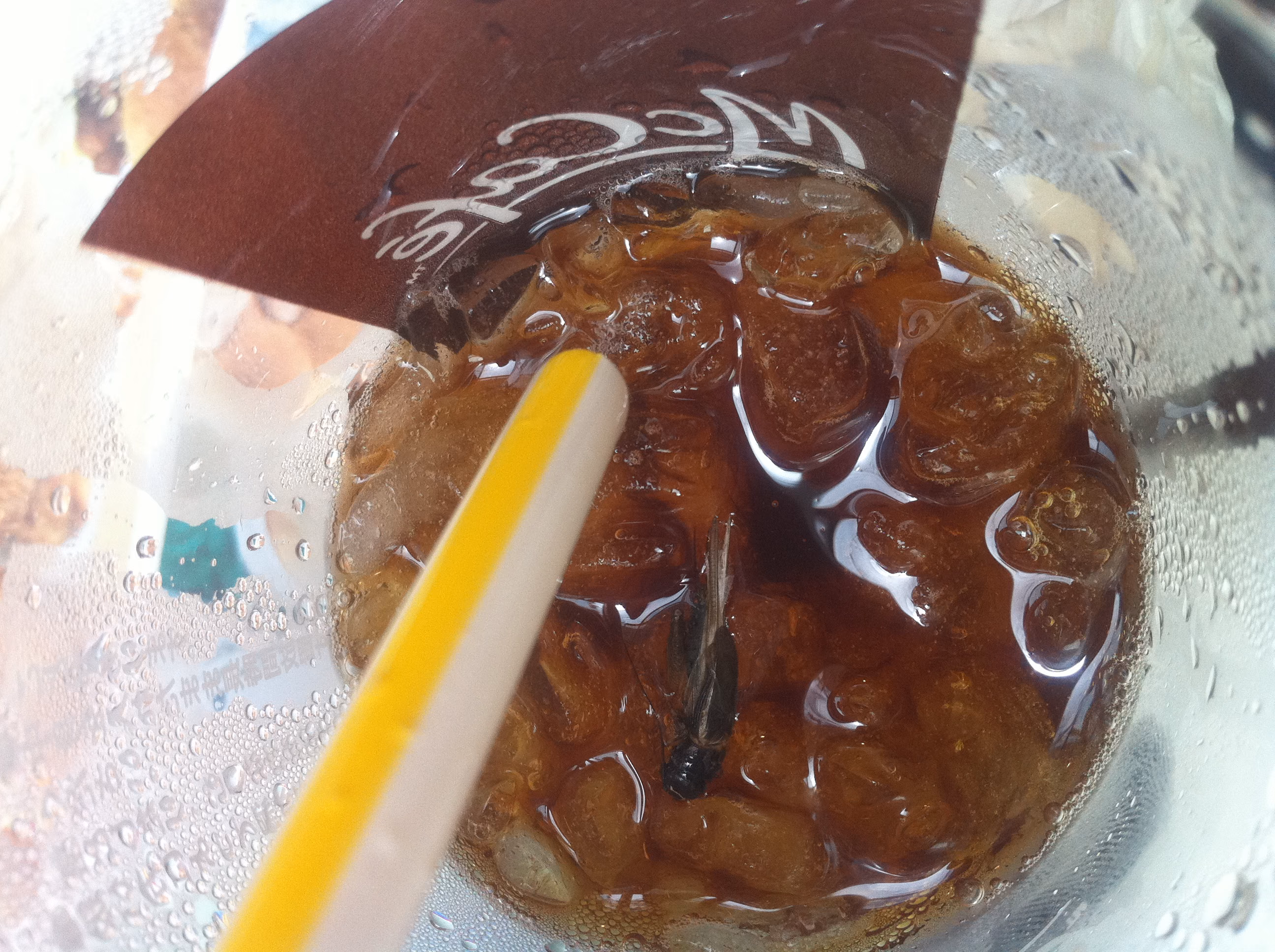 マクドナルドのコーヒーに虫混入