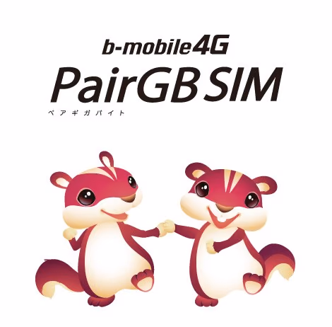 悩ましい高速通信サービス LTE 対応 2GB 制限プラン PairGB SIM