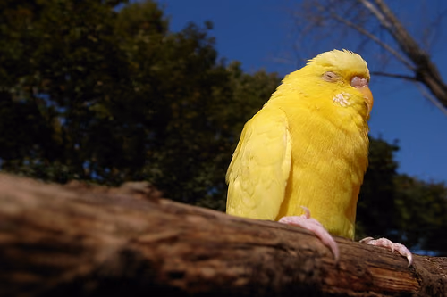 鳥肌立った