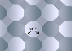 マジ、同色