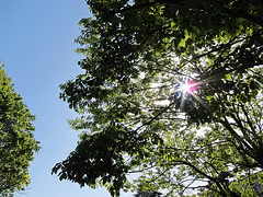ひたち海浜公園 リベンジ