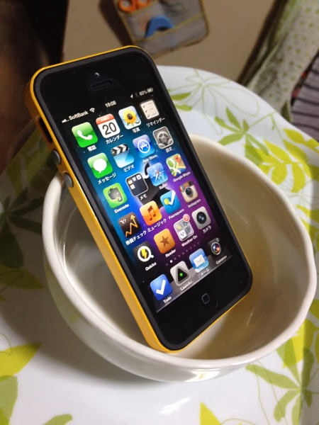 iphone-dish.jpg Iphone dish