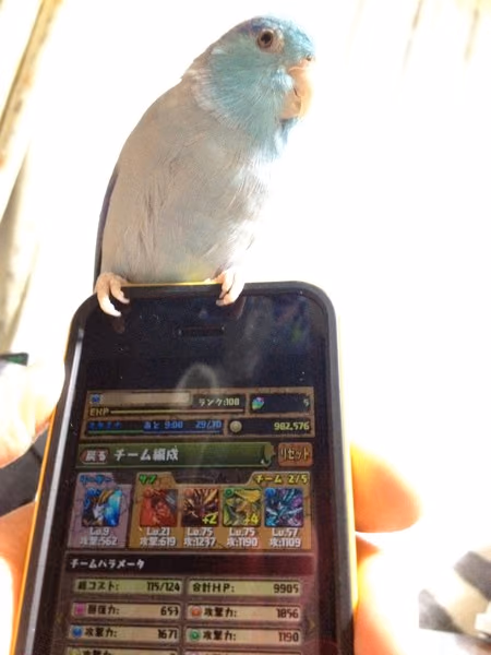 パズドラでリアルなドラゴンが出現!?