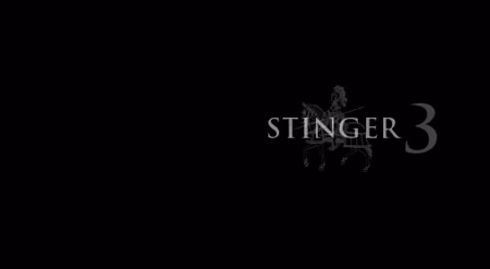Stingerテーマで昔から日本語URLを使ってる方は注意