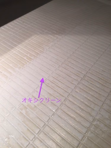 IMG 7558