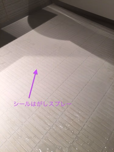 大掃除でバスルーム床（カラリ床）の黄ばみとり