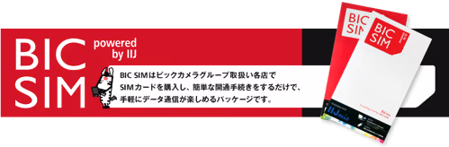 ソフトバンク解約してBIC SIM契約