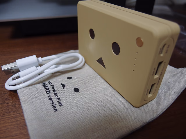 ダンボのモバイルバッテリーがやってきた