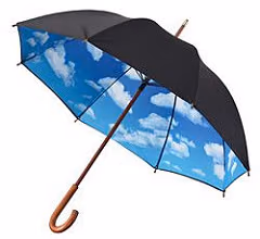 春の雨にいかが？