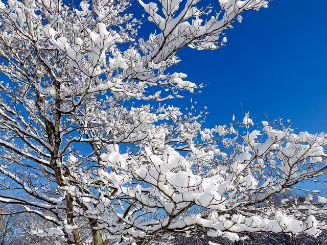 久しぶりの積雪でエスティマのSnowモードを使ってみた
